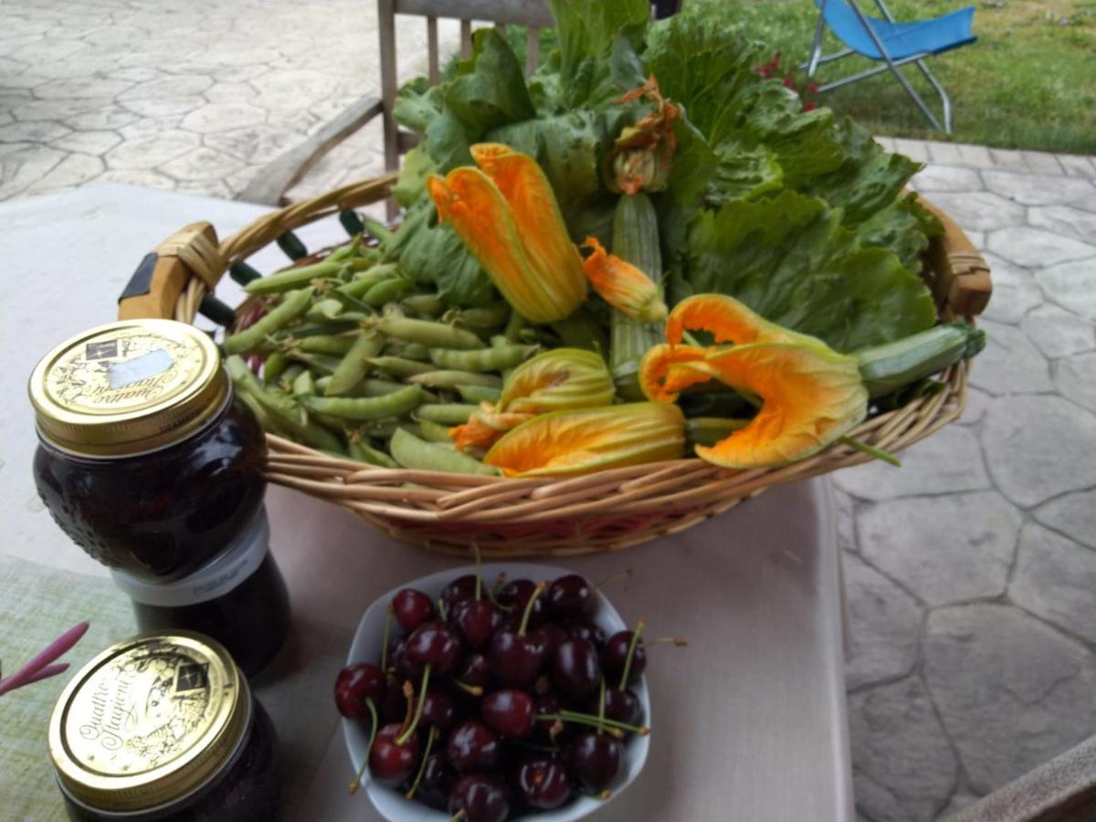 Agriturismo Allo Scoglio - Azienda Agricola Trieste Luaran gambar